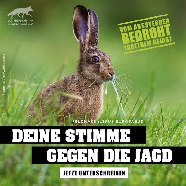 wdsn_gegen_jagd_petition_rote_liste_hase_1038.jpg