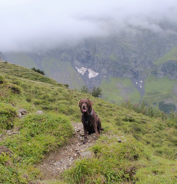 Wie weit ist die Innsbrucker Hütte denn noch.jpg